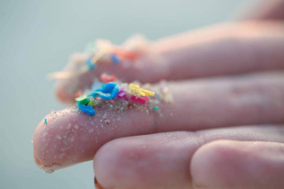 Microplastics Are Everywhere, Including in Our Bodies. What are the Impacts? Microplastics Are Everywhere, Including in Our Bodies. What are the Impacts?