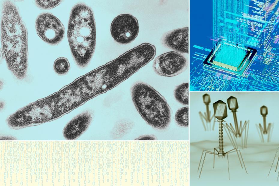 AI Just Created a Working Virus