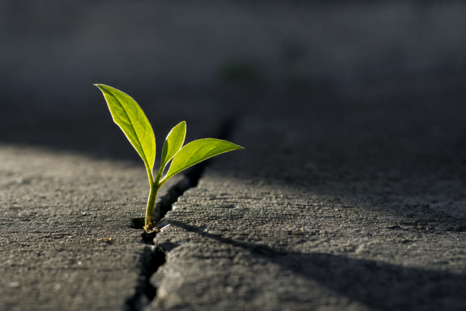 Optimism Is a Skill, Not a Personality Defect