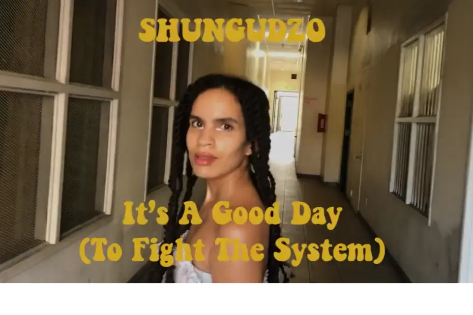 Election Day Theme: It’s a Good Day to Fight the System